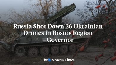 Russia Shot Down 26 Ukrainian Drones in Rostov Region – Governor