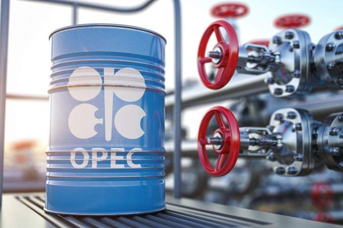 Russia to make compensation OPEC+ oil production cuts through 2025