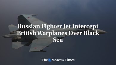 Russian Fighter Jet Intercept British Warplanes Over Black Sea