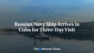 Russian Navy Ship Arrives in Cuba for Three-Day Visit