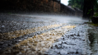 Study shows human-caused rise in rainfall variability past century