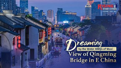 Watch: Discover dreamy Qingming Bridge in east China's Wuxi