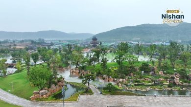 Watch: Drone view reveals the enchanting Luyuan Town in Qufu City