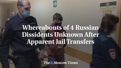 Whereabouts of 4 Russian Dissidents Unknown After Apparent Jail Transfers