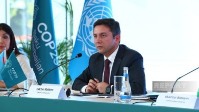 Yalchin Rafiyev: Creation of Climate Finance Action Fund is one initiatives