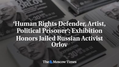 ‘Human Rights Defender, Artist, Political Prisoner’: Exhibition Honors Jailed Russian Activist Orlov