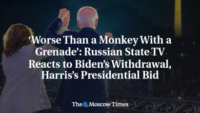 ‘Worse Than a Monkey With a Grenade’: Russian State TV Reacts to Biden’s Withdrawal, Harris’s Presidential Bid