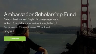 Apply for for Summer Work Scholarship 2024 in USA Aug 26, 2024 NSN Asia