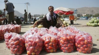 Asia Album: Bustling market in Afghanistan's Kabul