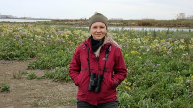 Behind Steppes: What Does It Take to Protect Biodiversity in Kazakhstan