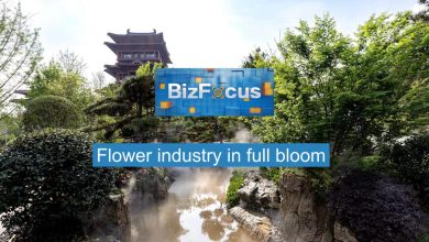 BizFocus Ep.100: China's flower industry in full bloom