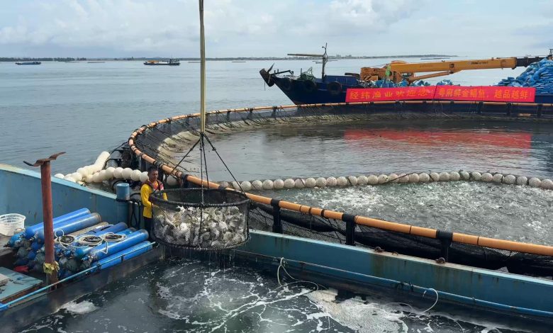 Check out the 'donut' ocean farms in south China