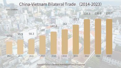 China-Vietnam bilateral trade maintains steady growth