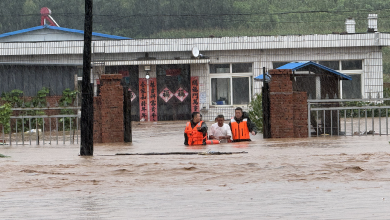 China allocates more disaster relief funds for northeast's Liaoning