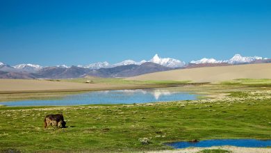 China launches new scientific expedition to Qinghai-Xizang Plateau