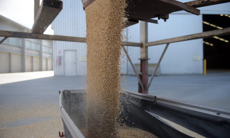 China proposes new curbs on grain imports to boost local prices