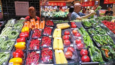 China's CPI rises 0.5% in July; PPI move unchanged