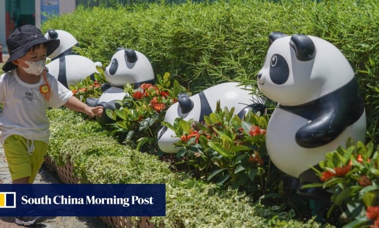 China’s booming ‘panda economy’ is black, white and spreading all over