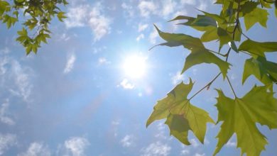 Chinese provinces ensure power, water supply in summer heat