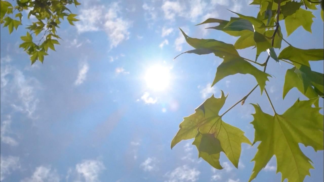 Chinese provinces ensure power, water supply in summer heat