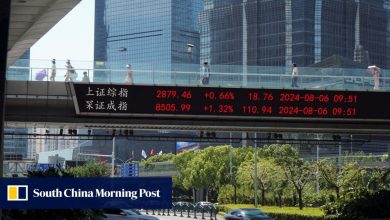 Chinese stocks get upgraded as bear-market risks seen tempered by state buying support