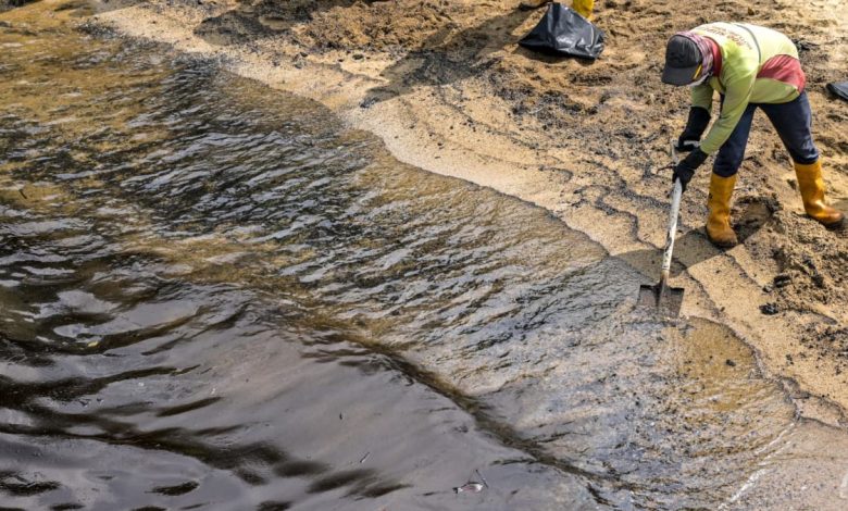 Cleaning of all beaches affected by oil spill to be completed 'within the next one month or so': Grace Fu