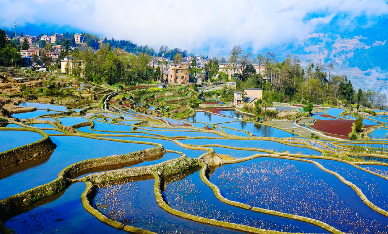 Colorful Honghe Hani Rice Terraces