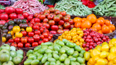 Colorful harvests at a fruit market in Inner Mongolia