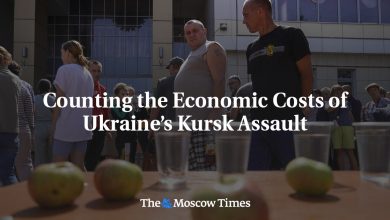 Counting the Economic Costs of Ukraine’s Kursk Assault