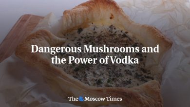 Dangerous Mushrooms and the Power of Vodka