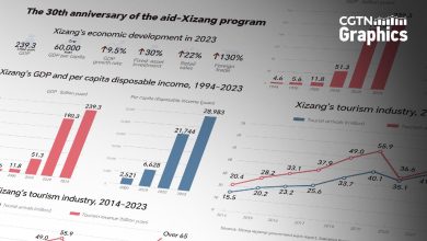 Graphics: Xizang's rapid economic development since 1994