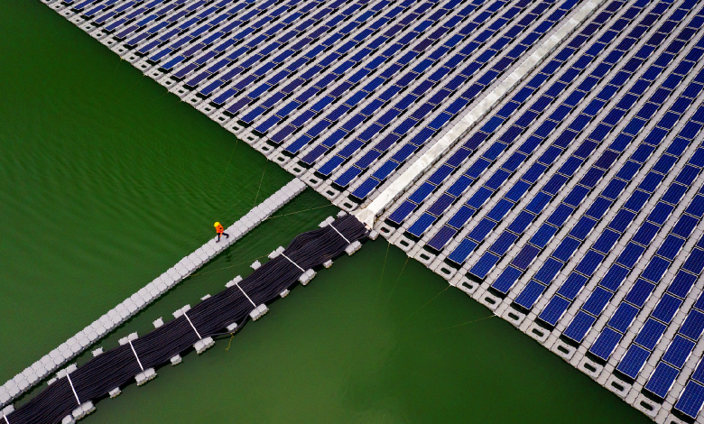 Green partnership blooms: China, Vietnam drive new energy cooperation