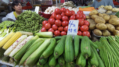 High temperatures, frequent rainfall fuel vegetable price surge