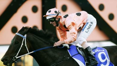 Horse racing-Australian champion sprinter Black Caviar put down