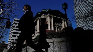 Japanese investors boost foreign bond buys as rate hike worries ease