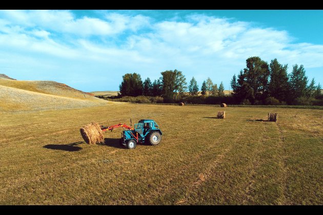 KAZAKHSTAN-AKMOLA-GRASS MOWING SEASON