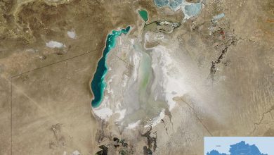 Kazakhstan, World Bank Advance Northern Aral Sea Restoration Efforts