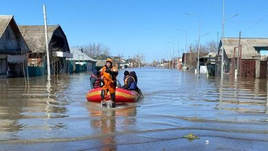 Kazakhstan and Netherlands Collaborate to Enhance Flood Risk Management