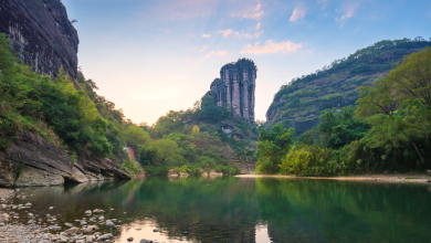 Live: Exploring Wuyi Mountain's natural secrets