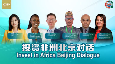 Live: Invest in Africa Beijing Dialogue