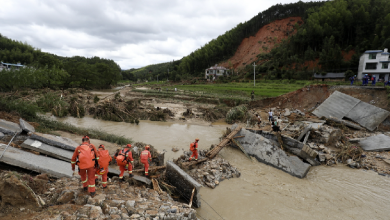 Live: Officials on latest measures after typhoon hits China's Hunan