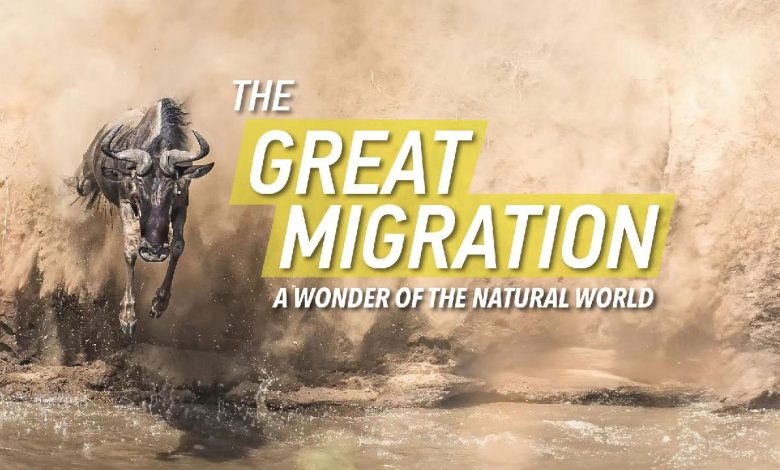 Live: The Great Migration – A Wonder of the Natural World