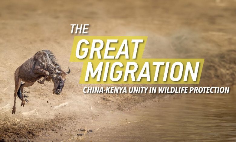 Live: The Great Migration – Africa beyond the Great Migration