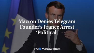 Macron Denies Telegram Founder’s France Arrest ‘Political'