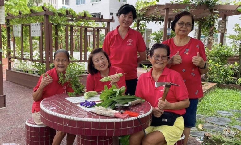 Meet the community gardeners of Marine Crescent Ville who nurture their plants, vegetables and friendship