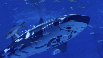 Meet the world's first intelligent robotic whale shark