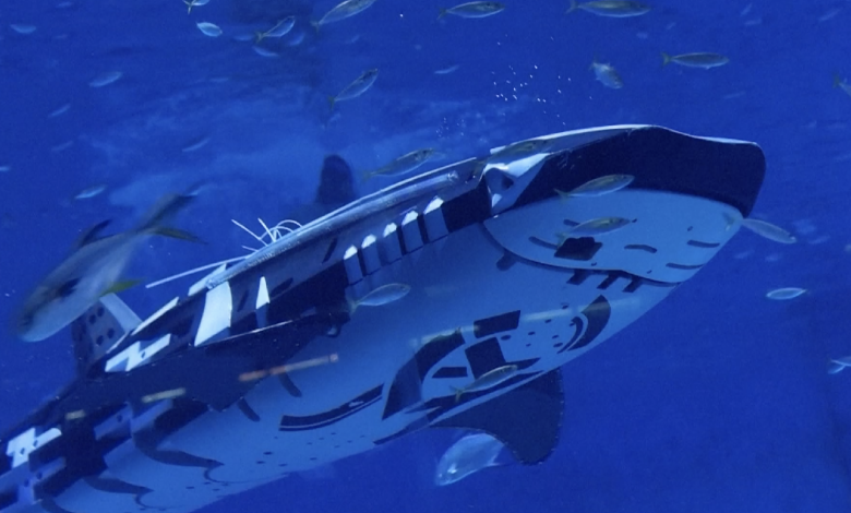 Meet the world's first intelligent robotic whale shark