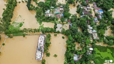 Nearly 300,000 Bangladeshis in emergency shelters after floods