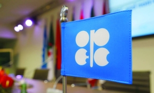 Opec+ sticks to oil policy, repeats could pause October hike