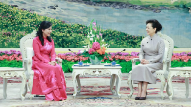 Peng Liyuan hails China-Vietnam cultural bonds, urges more exchanges